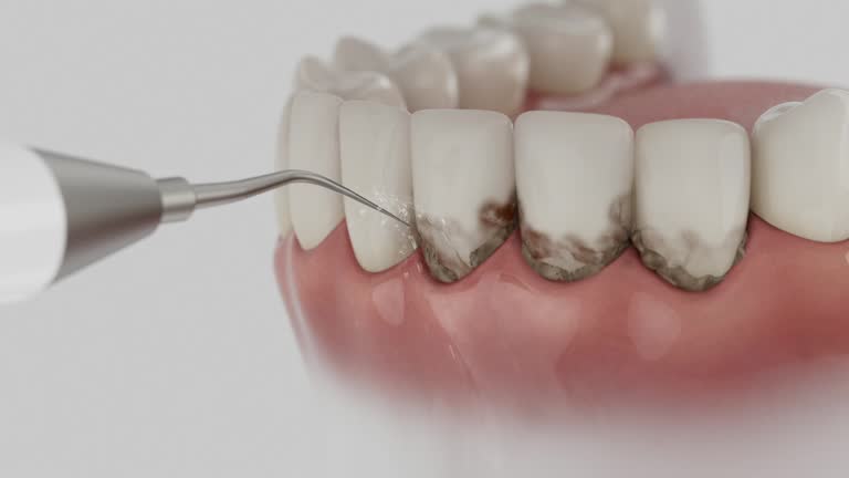 Reliable Dental contractor in Water Valley, MS by Dentist Open Now